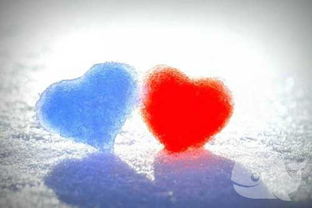 梦见舌头断了一半是什么征兆:梦见舌头断了一半,探索梦境的警示与暗示 梦见舌头断了一半是什么征兆:梦见舌头断了一半,探索梦境的警示与暗示