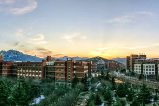 山东科技大学研究生(山东科技大学研究生专业有哪些) 山东科技大学研究生(山东科技大学研究生专业有哪些)