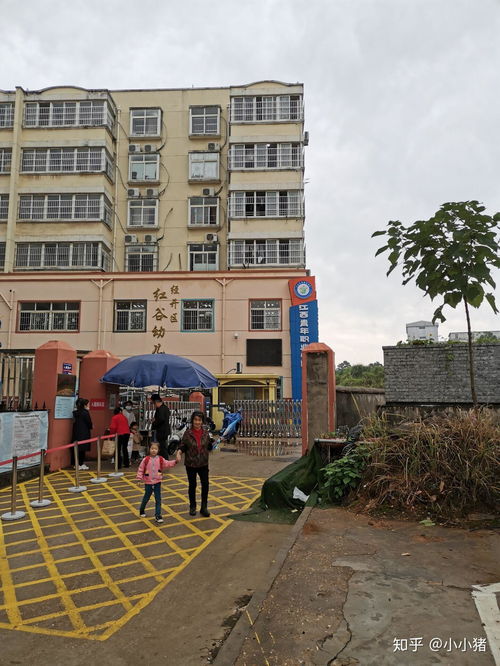 江西单招的学校有哪些(江西单招的学校有哪些公办大专) 江西单招的学校有哪些(江西单招的学校有哪些公办大专)