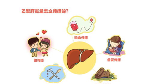 家里人有乙肝会传染吗:家里人有乙肝会传染吗?科学认识乙肝,消除误解与恐惧 家里人有乙肝会传染吗:家里人有乙肝会传染吗?科学认识乙肝,消除误解与恐惧