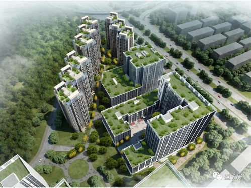 免费测试两人姻缘免费：免费测试两人姻缘，揭秘你们的感情真相！