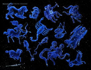 十二星座代表的动物:星海漫游,十二星座的动物图腾与生命密码 十二星座代表的动物:星海漫游,十二星座的动物图腾与生命密码