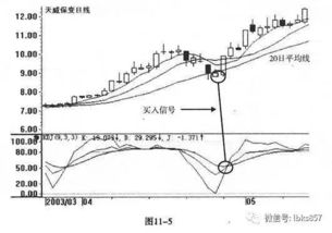 如何利用技术分析工具进行黄金投资？