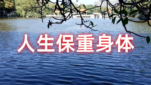 梦见去世的亲人还活着:生死之间的对话,从梦境解读逝去亲人的精神联结 梦见去世的亲人还活着:生死之间的对话,从梦境解读逝去亲人的精神联结