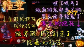 双子座的致命弱点：双子座的致命弱点，在天赋的光环下，藏着一双被忽视的软肋