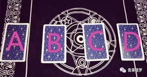 whips塔罗牌:Whips牌阵,塔罗牌中的鞭子象征与解读