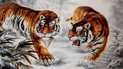 属虎的结婚娶亲吉日:属虎新人的幸福指南,结婚娶亲吉日全解析! 属虎的结婚娶亲吉日:属虎新人的幸福指南,结婚娶亲吉日全解析!