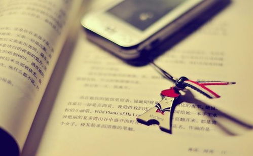 免费算命感情运势:免费算命揭示爱情运势,科学解读与情感建议的融合指南 免费算命感情运势:免费算命揭示爱情运势,科学解读与情感建议的融合指南