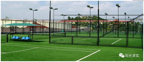 青岛求实职业技术学院(青岛求实职业技术学院是大专吗) 青岛求实职业技术学院(青岛求实职业技术学院是大专吗)