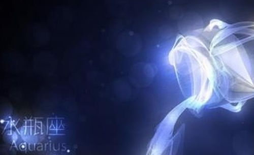 水瓶座对喜欢的人特殊：水瓶座对喜欢的人，灵魂共振的浪漫法则