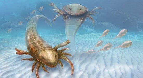 梦见蜘蛛是胎梦吗:梦见蜘蛛是胎梦吗?传统文化与现代解析