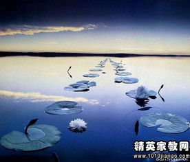 梦见很多大鱼是什么征兆:梦见很多大鱼,潜意识中的丰富与警示 梦见很多大鱼是什么征兆:梦见很多大鱼,潜意识中的丰富与警示