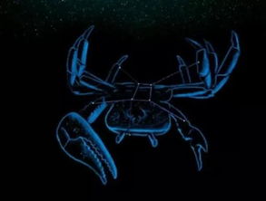 巨蟹座的性格怎么样:温柔与坚韧并存,解码巨蟹座性格的深层特质与成长密码 巨蟹座的性格怎么样:温柔与坚韧并存,解码巨蟹座性格的深层特质与成长密码