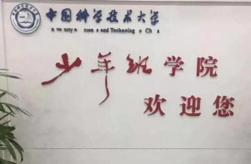 天才一般在几月出生:天才出生月份的神秘规律,科学解读与争议背后的真相 天才一般在几月出生:天才出生月份的神秘规律,科学解读与争议背后的真相