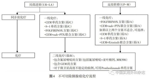 吉西他滨说明书:解读吉西他滨说明书,用途、用法与注意事项全知道 吉西他滨说明书:解读吉西他滨说明书,用途、用法与注意事项全知道