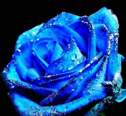 属猪女几月生是富婆命:属猪女农历几月出生是天选富婆命?这五个月天生聚财体质,附转运指南 属猪女几月生是富婆命:属猪女农历几月出生是天选富婆命?这五个月天生聚财体质,附转运指南