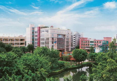 四川理工技师学院是大专吗(四川理工技师学院是公办还是民办)