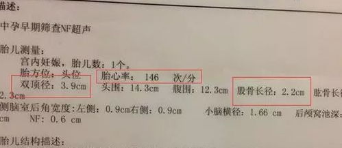 b超单子看男女:B超单子看男女,科学与伦理的边界 b超单子看男女:B超单子看男女,科学与伦理的边界