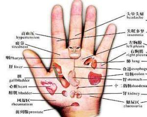手纹:掌纹中的生命密码,解码手纹背后的科学智慧与生活美学 手纹:掌纹中的生命密码,解码手纹背后的科学智慧与生活美学