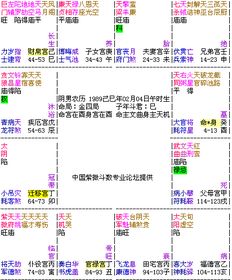 瓷都八字在线排盘系统：瓷都八字在线排盘系统，让千年窑火与命理智慧在数字时代交融