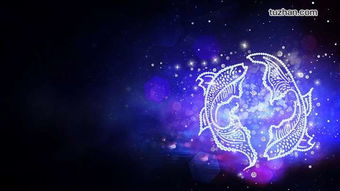 2017年2月12日是什么星座:2017年2月12日是什么星座?精准解析水瓶座特质与运势全指南 2017年2月12日是什么星座:2017年2月12日是什么星座?精准解析水瓶座特质与运势全指南