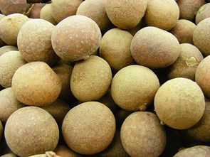 桂圆的功效与作用禁忌:桂圆的功效与作用禁忌,全面解析养生食材的健康密码