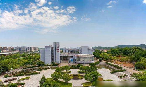 超声波去眼袋一般多少钱啊:超声波去眼袋一般多少钱?价格影响因素与手术优势全解析