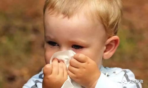 一个动作让鼻子通气:神奇!只需一个动作,轻松解决鼻塞困扰