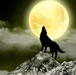 梦见狼周公解梦原版:梦里遇见狼,周公解梦原版解析与现代启示