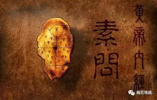 食神格男正官女姻缘:食神格男与正官女,天作之合的姻缘密码