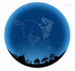 天蝎座有什么特点：神秘星象下的灵魂图谱，天蝎座特质全解析—深度情感与生存智慧的完美融合