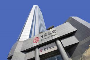 外汇局北京市分局朱睿:优化银行资本项目外汇收入支付便利化业务抽查