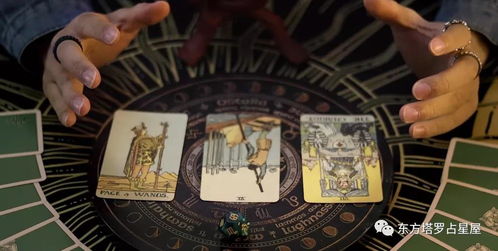 塔罗牌师对塔罗牌有感应:塔罗牌师的神秘感应,揭开与塔罗牌的深层连接