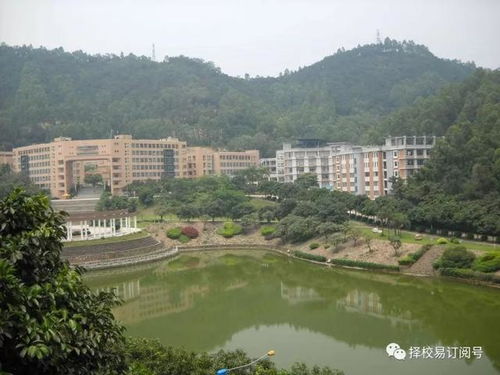 广州十大公办职业学校(广州十所最好公办大专)