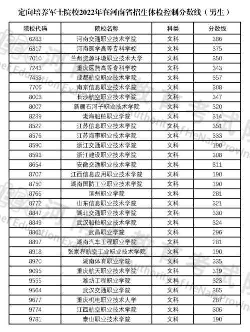 武昌职业学院录取线(武昌职业学院录取线2025)