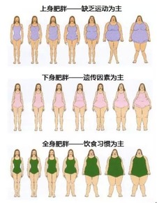 如何合理减肥:科学瘦身指南,如何健康有效地进行合理减肥