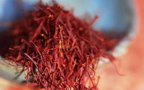 藏红花的十大神奇功效:藏红花的十大神奇功效,你了解多少?