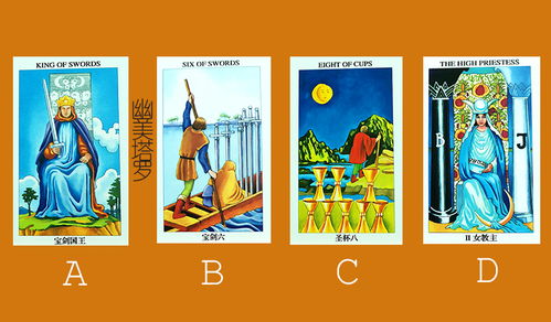 用塔罗牌占塔罗牌准不准:塔罗牌占卜的自我验证,当占卜者成为被占卜的对象