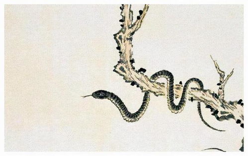 2013年属蛇运势:2013年属蛇人运势全解析,机遇与挑战并存的生命转折年 2013年属蛇运势:2013年属蛇人运势全解析,机遇与挑战并存的生命转折年