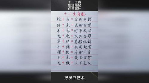 十二生肖婚配大全姻缘图:十二生肖婚配大全,揭秘姻缘背后的生肖密码,你的属相配对姻缘如何?