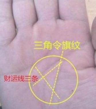 男女手掌姻缘怎么看婚姻:手相中的婚姻密码,男女手掌看姻缘的奥秘