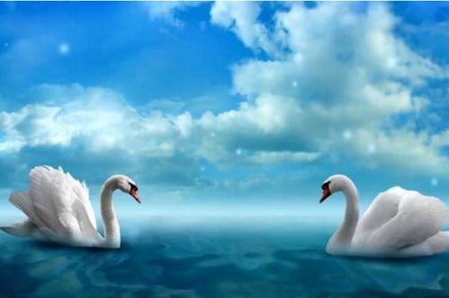 狮子座的命中绝配:狮子座灵魂共振指南,5大星座与狮子形成天生绝配的深层逻辑