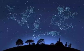 十二星座最佳情侣配对指数:十二星座最佳情侣配对指数,谁才是你的灵魂伴侣?