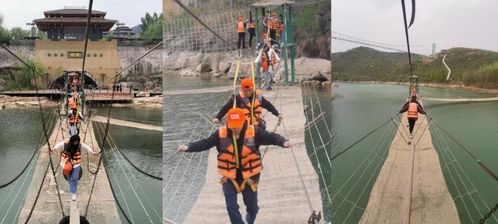 网上有没有算命很准的:网上算命真准?揭秘玄学背后的科学逻辑与心理陷阱