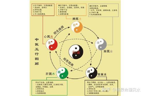 五行相生相克婚配法:五行相生相克婚配法,传统智慧在现代婚恋中的科学解读 五行相生相克婚配法:五行相生相克婚配法,传统智慧在现代婚恋中的科学解读