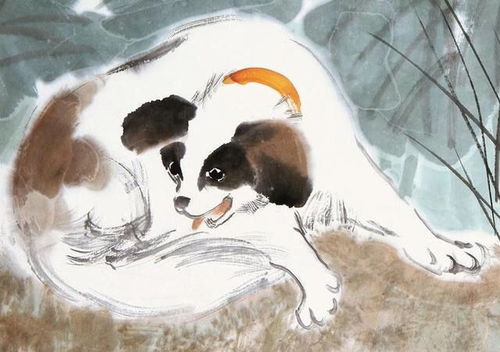 属狗的人命中有两段婚姻:属狗人命理玄机,两段婚姻的起伏与破局之道