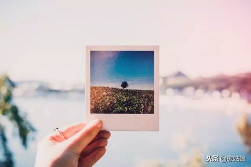 如何对付出轨的白羊座老公:温柔而坚定,如何与出轨的白羊座老公重建信任的五个步骤