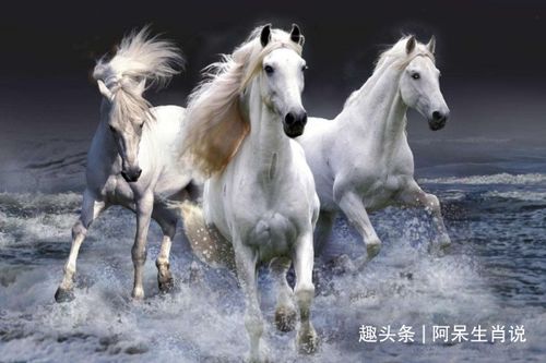 78年马什么时候能走大运:1978马人运势转折点,大运开启时间与转运指南