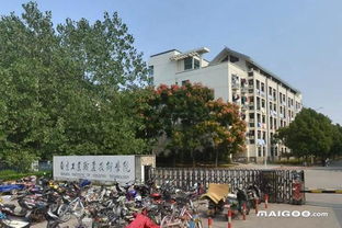 江苏最好大专哪几所(江苏最好的十所大专)