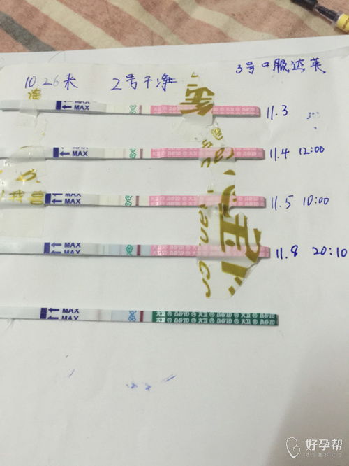 早孕试纸最早几天能测:早孕试纸最早几天能测?这些知识点你必须知道!